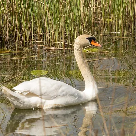 The Old Mill - By The - 2 Bedroom Apartment Kruså